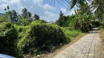 Đất nền chính chủ tại Bình Mỹ, Củ Chi, Hồ Chí Minh, 115,3 m2