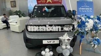 Vinfast VF 3 trả trước 50 triệu