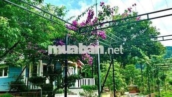 Bán lại lô đất 388m2 giá 489triệu sẵn căn bungalow - sân vườn - hồ cá