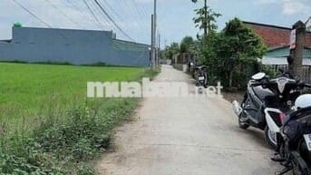 CẦN BÁN GẤP LÔ ĐẤT  - TẠI ẤP 8, XÃ NHỰT CHÁNH, BẾN LỨC, LONG AN