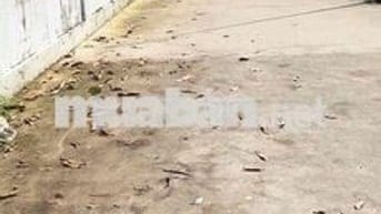 chính chủ sang nhanh lô đất tân kim, long An