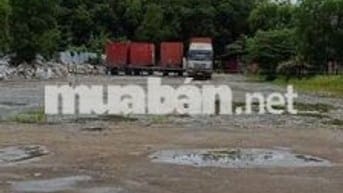 Cho thuê đất 4000m có kho 500m đường cont sẵn 3fa làm bãi sản xuất