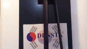  🔥 ĐẶC BIỆT – Ưu đãi dành riêng cho sen cây chỉ duy nhất ngày 11/11/2