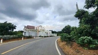 Bán lô đất vườn cafe + trái cây nguồn thu ổn định ven Đà Lạt