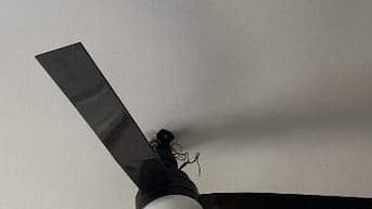 Xác quạt trần hư nguồn cần thanh lý