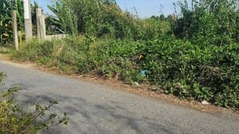 Chính chủ bán đất MT rừng sác vào 500m,mặt sông rạch cá gấu lớn