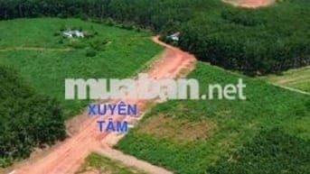 Đất nền giá rẻ - vị trí siêu tiềm năng ngang KCN Tân Tiến 1-2