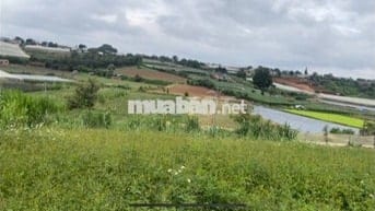 Bán đất nền Xã Ka Đô - H. Đơn Dương - Lâm Đồng ; SH 189 m2; TC 72m2;