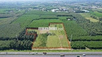 4,8Ha đường vào cổng chính sân bay Long Thành 2,3km