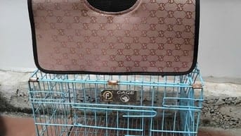 Bán phụ kiện chuồng chó, túi. Chuồng có thể chứa cún nặng hơn 10kg