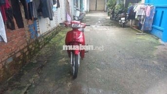 Dream lùn 99 zin xe đẹp