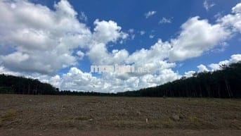 Chủ cần bán gấp đất nền 1100m2 tại xã Tân Lợi, Đồng Phú, 400 triệu,.