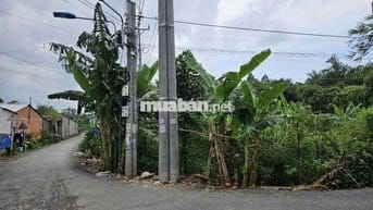 BÁN ĐẤT 2 MẶT TIỀN LỘ NHỰA DT 636,5M²- ĐÔNG BÌNH, BÌNH MINH, VĨNH LONG