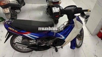 cần bán xipo giá yêu thương,chỉ có cà vẹt gốc