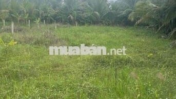 Cực đẹp bán 2 nền đất liền kề ngay Cụm CN Bình Ninh giá chỉ 400 triệu