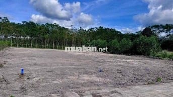 Ngân hàng thanh lý 2500m2 đất kế KCN Minh Hưng chỉ 300tr