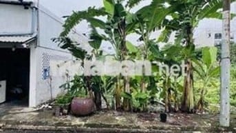 Bán lô đất đẹp, đường 7m Nguyễn Văn Tạo, 81m2, ngang 6.5, chỉ 3.x tỷ