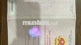 Bán CCMN 3 Ngủ Sổ Hồng Từng Căn - Khương Đình, Ngã 4 Sở