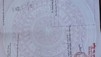 CHÍNH CHỦ BÁN 2 LÔ ĐẤT THỔ CƯ LIỀN NHAU MẶT TIỀN 9M 