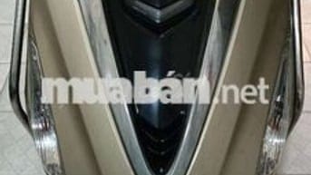 Tay ga giá phổ thông 9 chủ