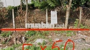 BÁN ĐẤT THỔ CƯ 300m2 500TR GIÁ NGỘP TRẢ THẲNG BAO SANG SỔ RIÊNG