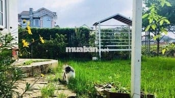 Chủ bán lỗ nhà tâm huyết 10x23,5m, 235m2 giá 1,2 tỷ có sân vườn P8