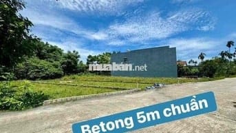 Siêu Phẩm Nhà Vườn 163m2 ngang 7 - Hoà Xuân
