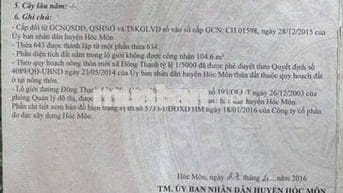 🆘ĐẤT THỔ CƯ  15 x 30m MẶT TIỀN ĐƯỜNG ĐÔNG THẠNH 4, GIÁP QUẬN 12