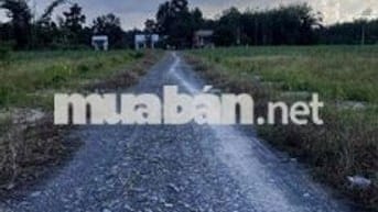 654,5m2 Đất gần KCN Hiệp Thạnh Gò Dầu chỉ 700tr