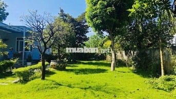 KHUÔN VIÊN NGHỈ DƯỠNG 880M2 ĐỦ TIỆN NGHI