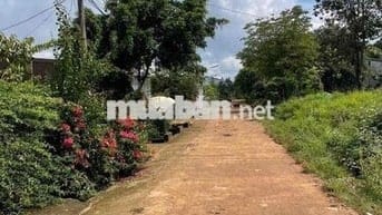 BÁN LÔ ĐẤT TÂM HUYẾT MẶT TIỀN ĐƯỜNG NHỰA A4 THÔN 4 XÃCUÊBUR (CŨ)_TpBM