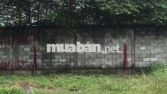 BÁN ĐẤT THỔ CƯ ẤP 4 XÃ MỸ YÊN TỈNH TÂY NINH(TỈNH LONG AN CŨ)