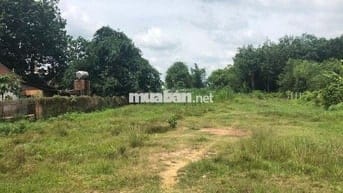 CẦN BÁN LÔ ĐẤT 1500M2 TRẢNG BÀNG TÂY NINH GIÁ 1 TỶ2 THƯƠNG LƯỢNG