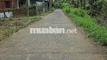 Chính chủ cần bán gấp đất đang trồng dừa