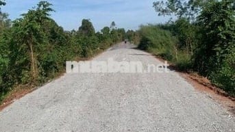 Bán đất mặt tiền Tam Tân, đối diện sân gofl West Lake,2.35 tỷ