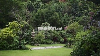 Bán trang trại, khu nghỉ dưỡng tại Đông Anh, Hà Nội diện tích 5000m2