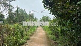 50X20 MÉT BÊ TÔNG, VƯỜN TRÁI CÂY SÔNG RAY CÓ SUỐI