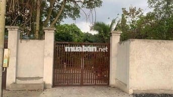 Bán đất thổ cư xã Nhị Bình, Hóc môn