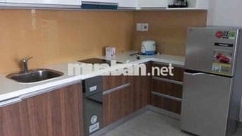 Cho Thuê Căn Cao Cấp Biconsi Chợ Đình 1PN Full 6tr, Thủ Dầu Một