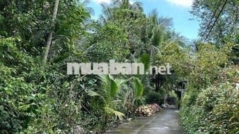 Nền 22x45m Khu 3 Thị Trấn Cái Bè