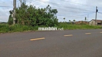 ĐẤT MẶT TIỀN ĐƯỜNG LÝ THÁI TỔ - CÓ THỔ CƯ