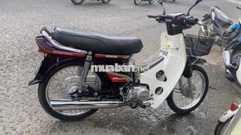 Dream Thái chính chủ