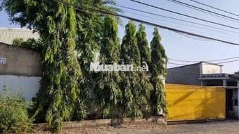 2300m2 xưởng đg 157 gần hocmon