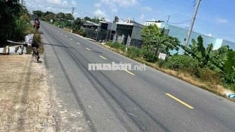 SIÊU PHẨM ĐẤT NỀN 1000M² – MẶT TIỀN TL842 P. AN BÌNH B, TP. HỒNG NGỰ