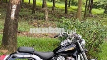 dealim dragstar 125 cafe racer tracker