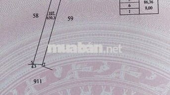 Đất chính chủ QL 52 Bà Rịa, Đã có sổ, 8m mặt tiền