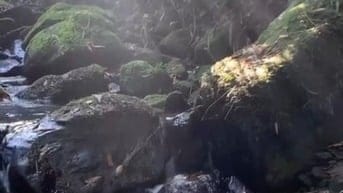  Bán gấp lô đất 1200m² nằm ngay Hồ Trị An giá 850 triệu view đẹp