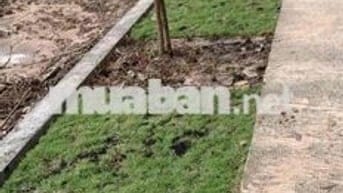 Gần TTHC xã Phước Thành có lô đất thổ cư SHR mt đường huyện lớn