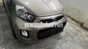 MORRNING DOI 2019  Mt