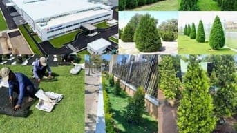 Thi công thảm cỏ cây xanh KCN Bình Dương – Miễn phí khảo sát thiết kế